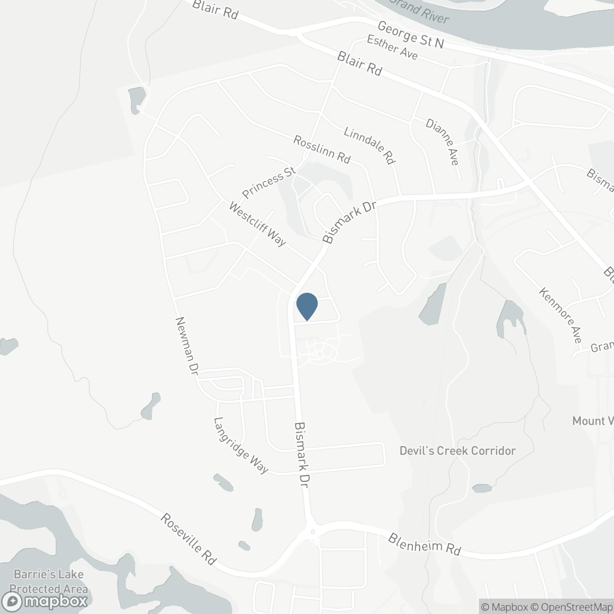 13 STEADMAN Street, Cambridge, Ontario N1S 0C7